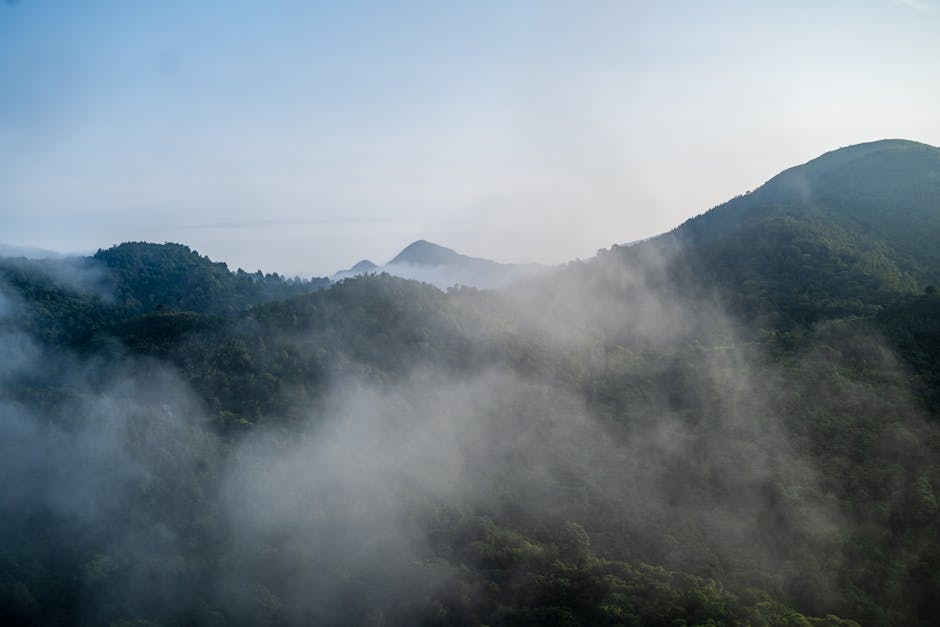 Araku Valley — popular tourist destination in Andhra Pradesh