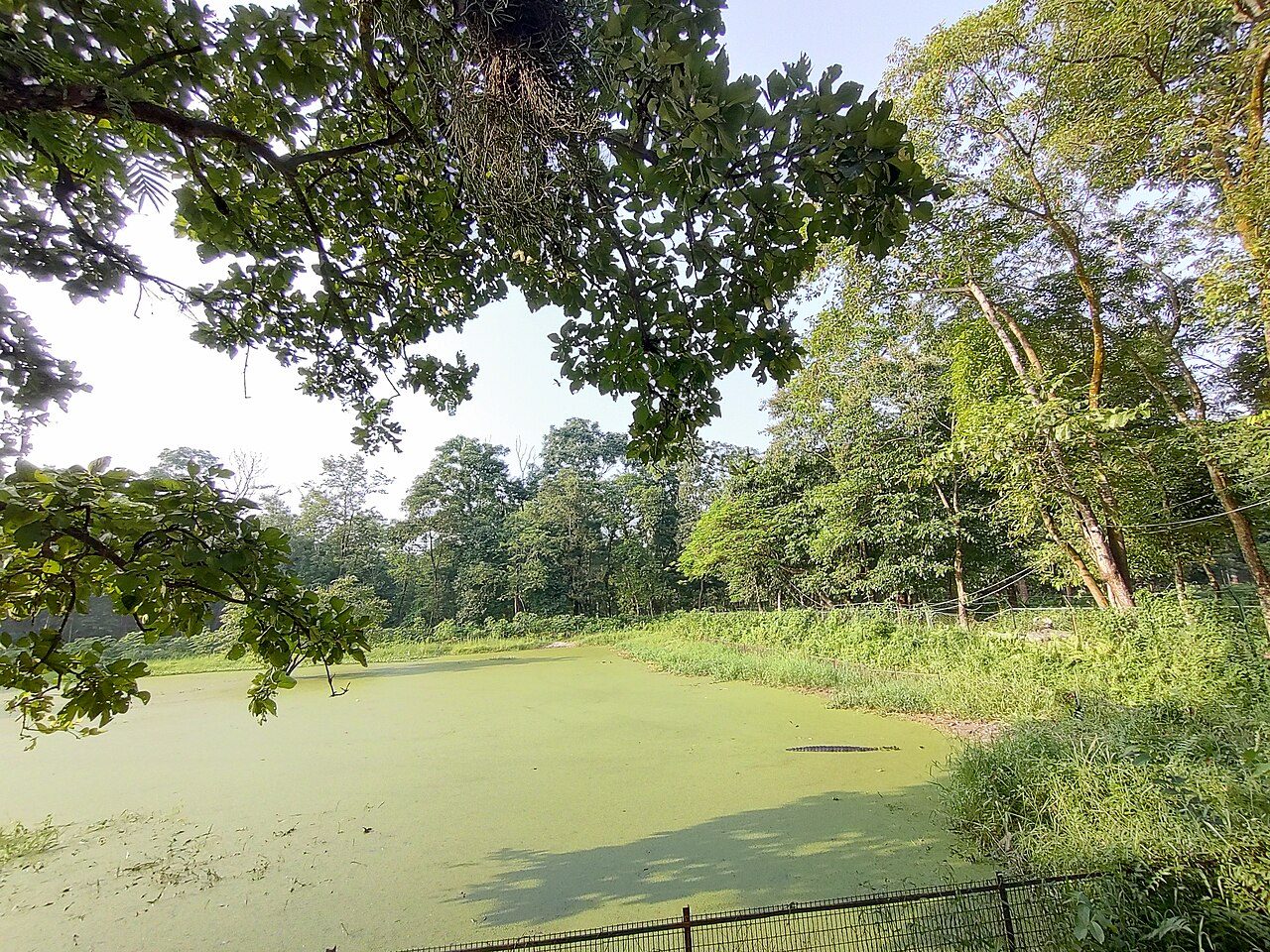 Scenic view of Horsley Hills, Andhra Pradesh