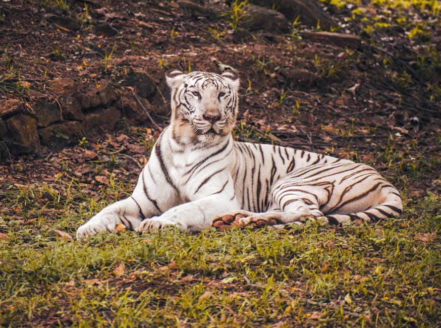 Visakhapatnam — popular tourist destination in Andhra Pradesh