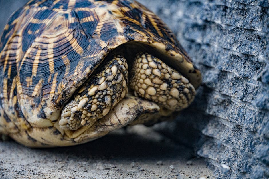 Scenic view of Visakhapatnam, Andhra Pradesh