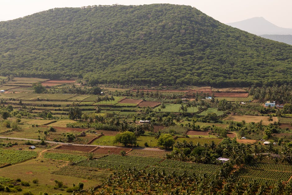 Simhachalam Temple — Mumbai to Visakhapatnam trip
