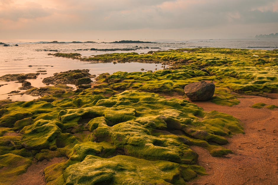 Chakratirth Beach — popular tourist destination in Daman & Diu