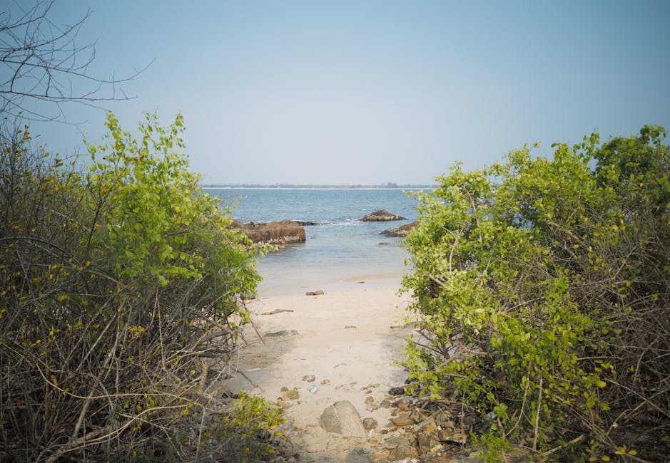 Scenic view of Chakratirth Beach, Daman & Diu