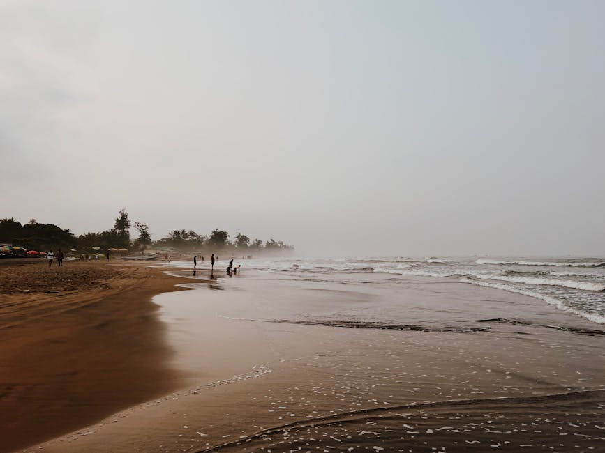 Palm Tree Walk — Mumbai to Nagoa Beach trip