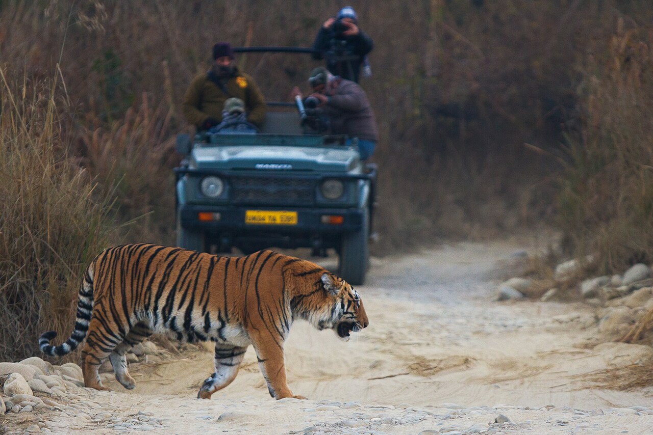 Jim Corbett — popular tourist destination in Delhi