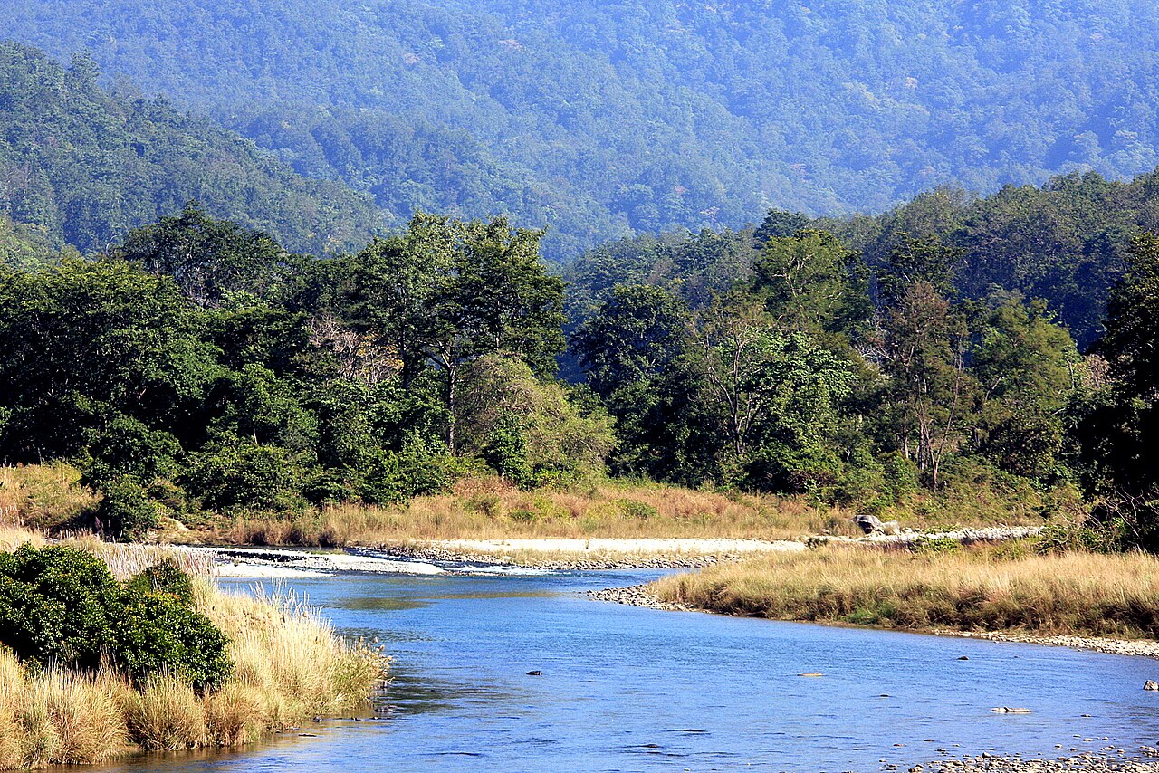 Dhikala Zone in Jim Corbett, Delhi
