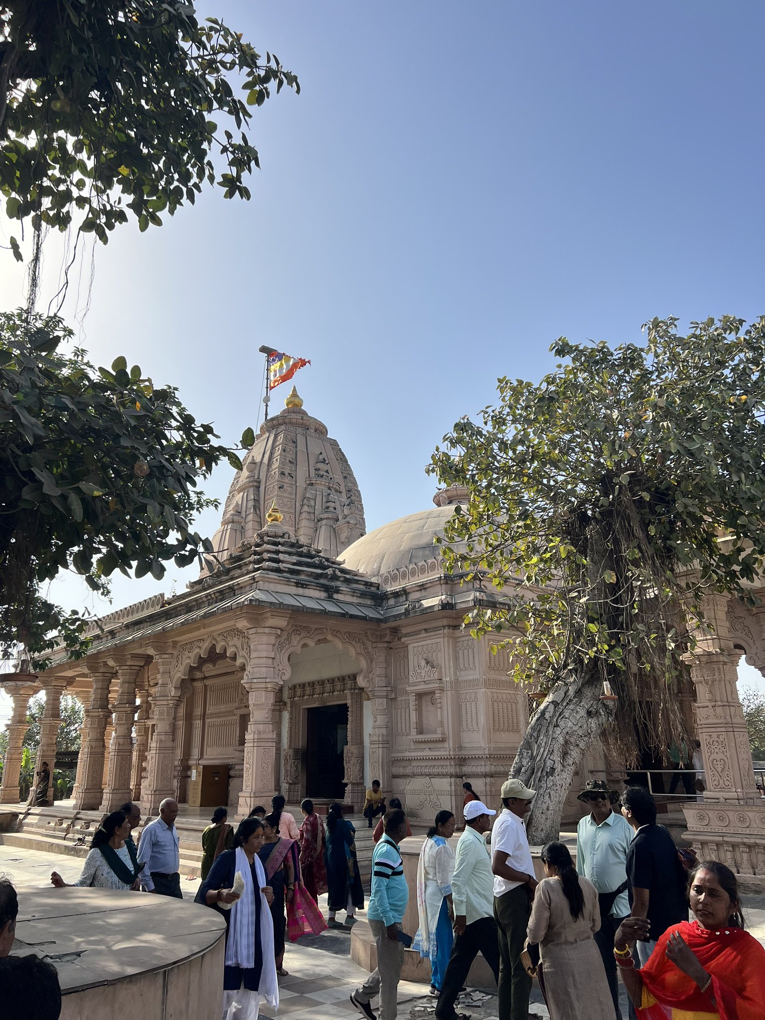 Sacred Peepal Tree in Bhalka Tirth