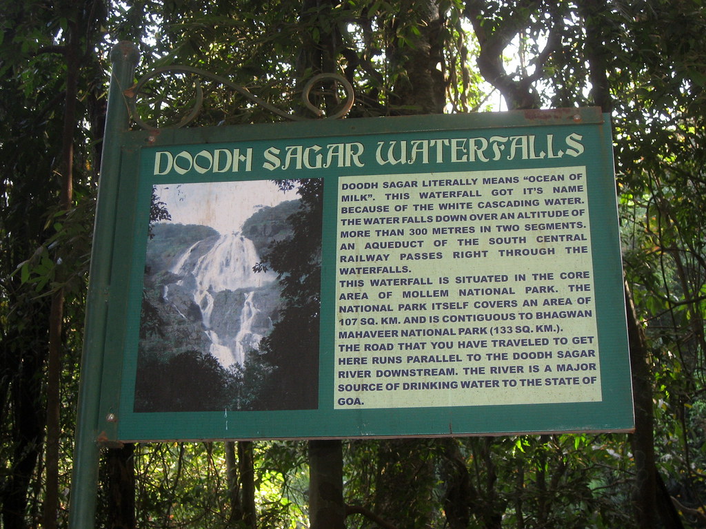 Natural Pool in Dudhsagar Falls