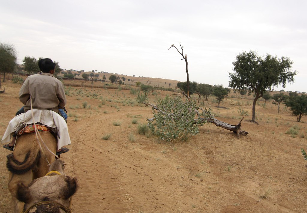 Scenic view of Osian, Rajasthan