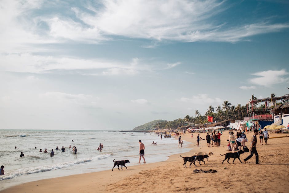 Baga Beach Strip in Baga Beach, Goa