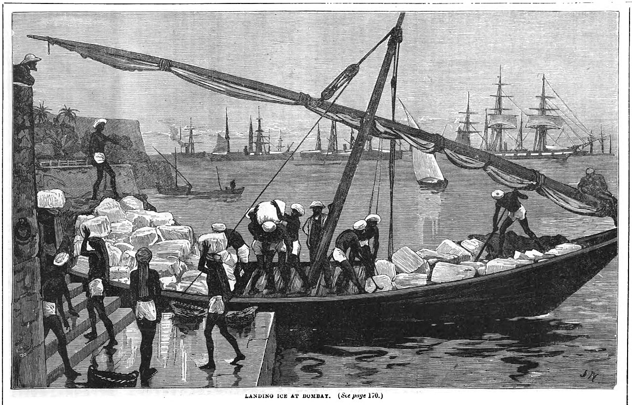 Forest Trek Route — Mumbai to Butterfly Beach trip