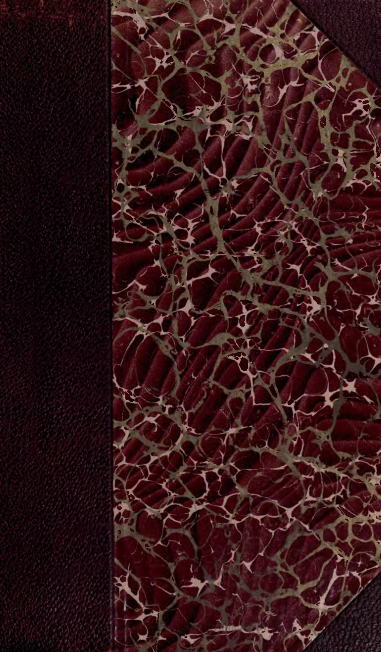 Mandrem Creek in Mandrem Beach