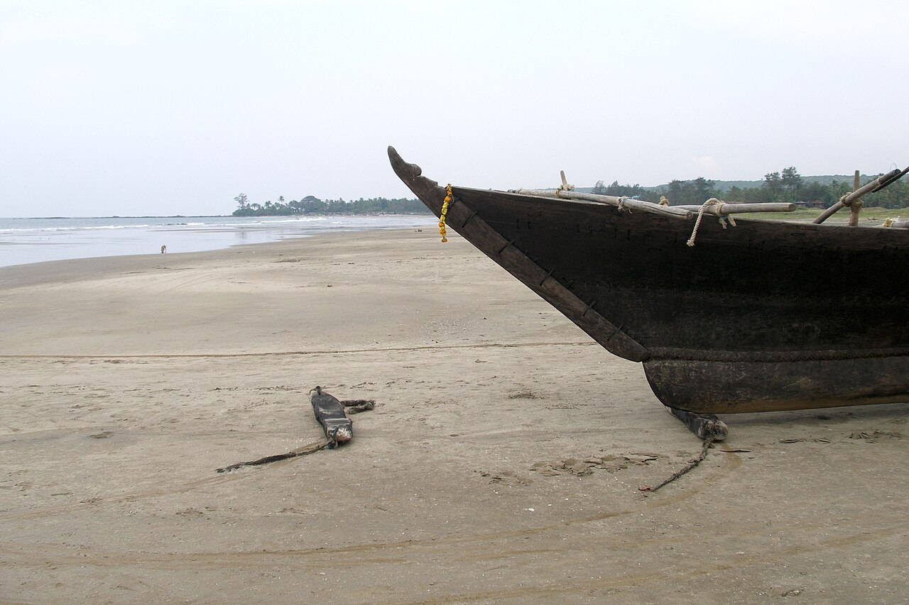 Turtle Nesting Zone in Morjim Beach, Goa