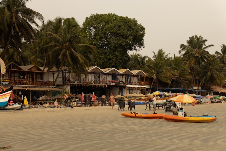Dolphin Point — Mumbai to Palolem Beach trip