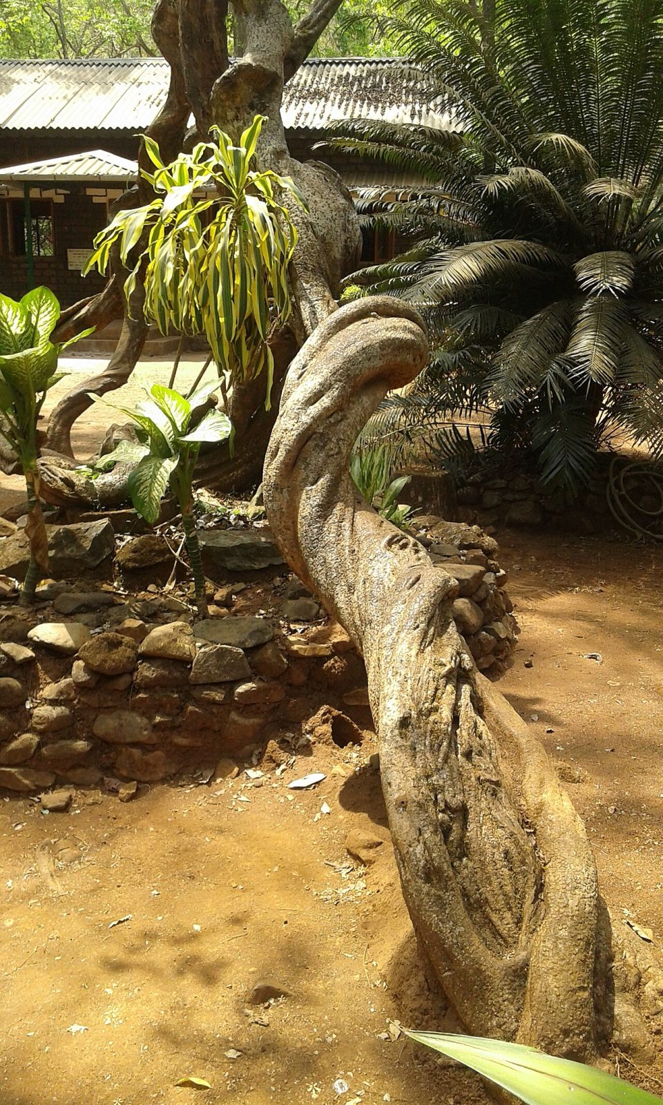 Sahakari Spice Farm — Mumbai to Ponda trip