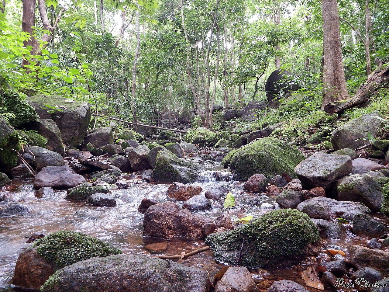 Scenic view of Tambdi Surla Temple, Goa