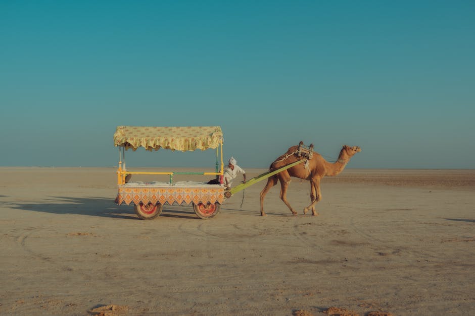 White Rann & Dhordo Village in Kutch Rann, Gujarat