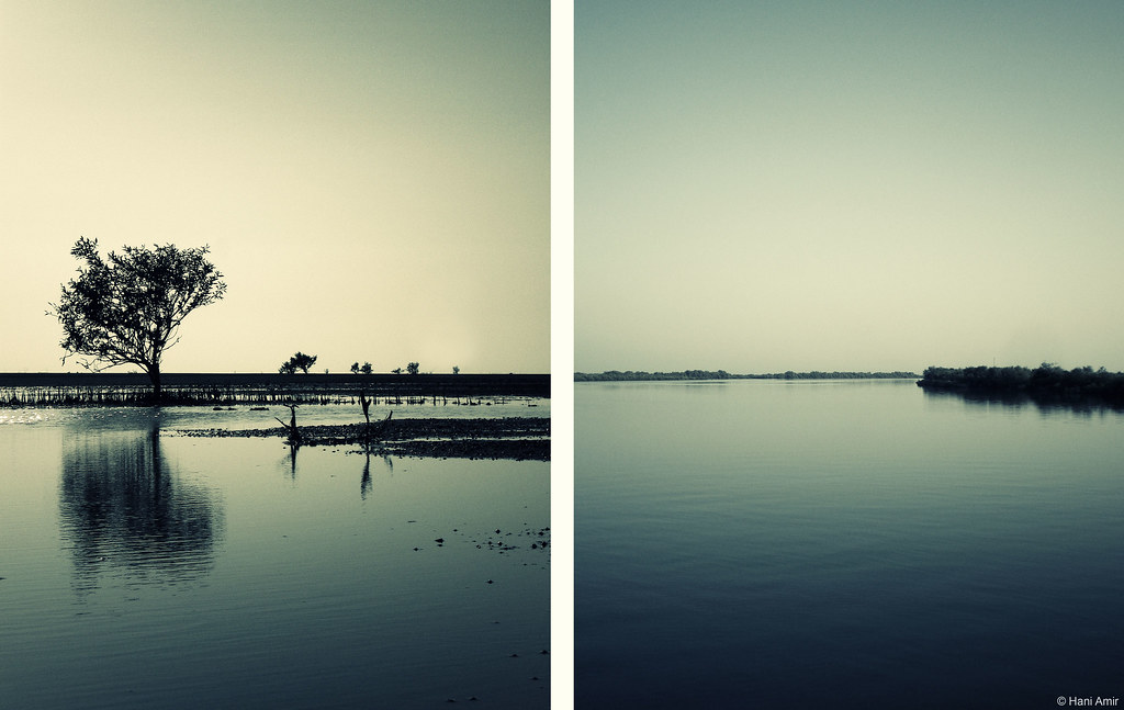 Marine National Park — popular tourist destination in Gujarat