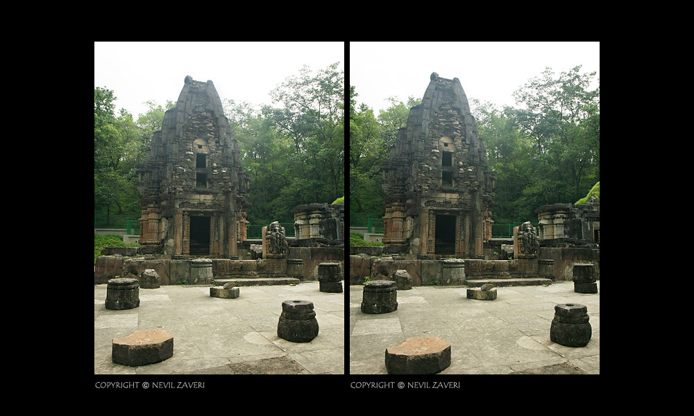 Scenic view of Polo Forest, Gujarat