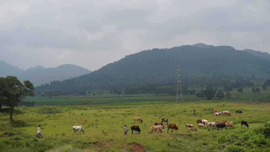 Sunset Point in Saputara