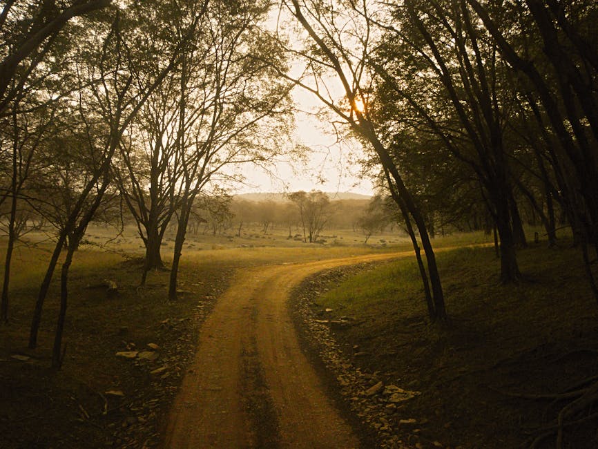 Sasan Gir — popular tourist destination in Gujarat