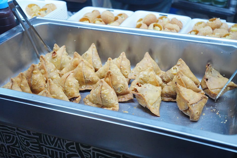 Surat Castle in Surat