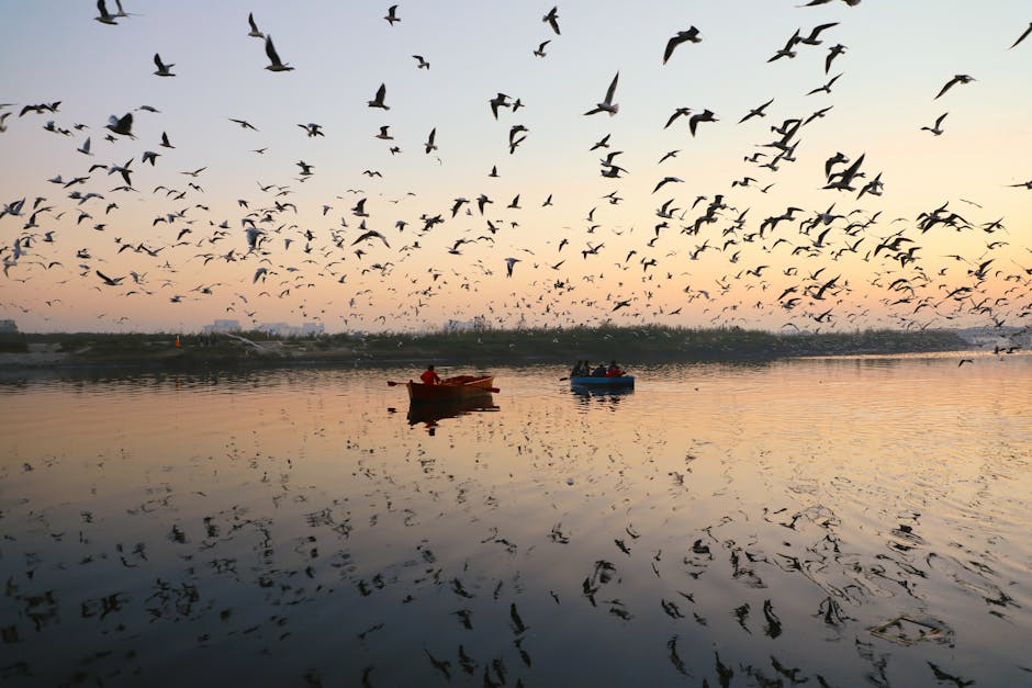 Scenic view of Surat, Gujarat