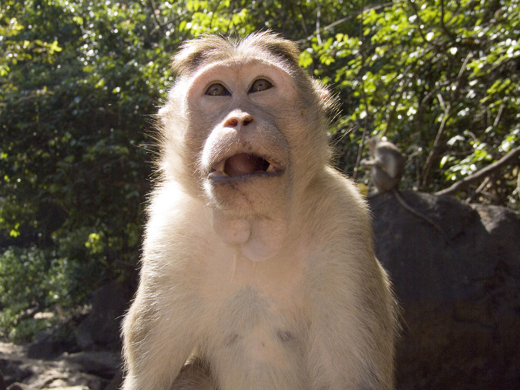 Purna Wildlife Sanctuary in Zanzari Waterfalls