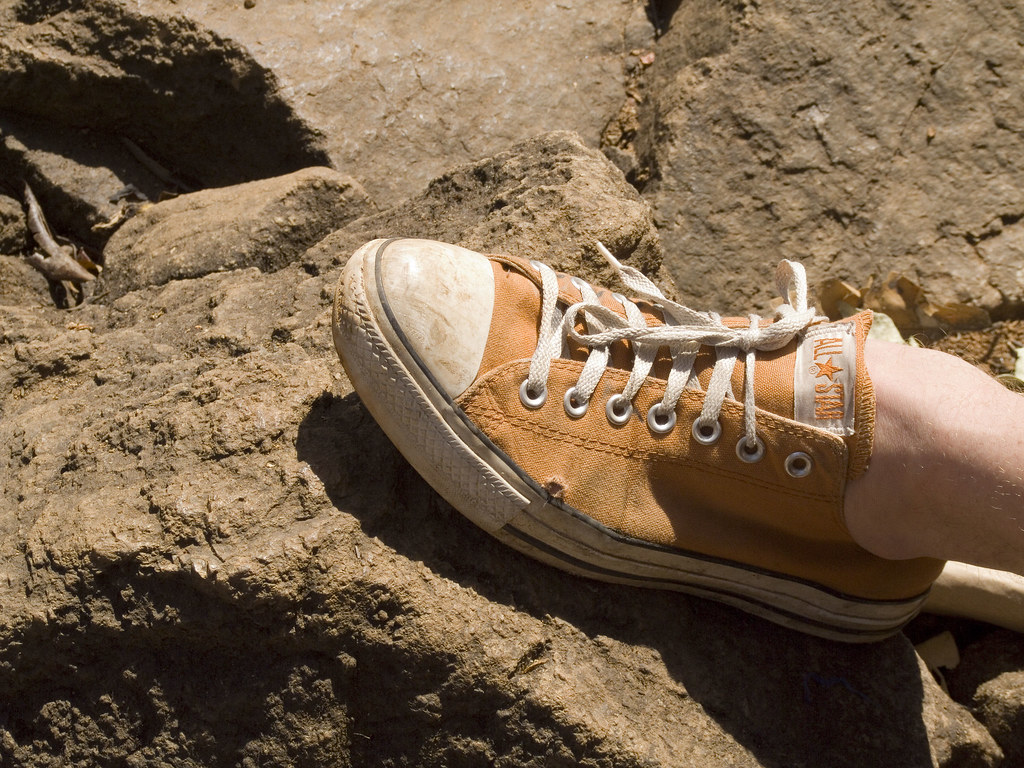 Waghai Botanical Garden — Mumbai to Zanzari Waterfalls trip