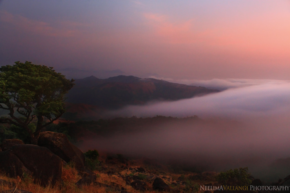 Scenic view of Agumbe, Karnataka