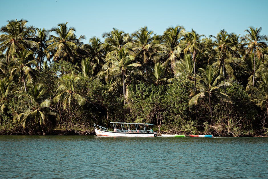 Dandeli Wildlife Sanctuary in Dandeli