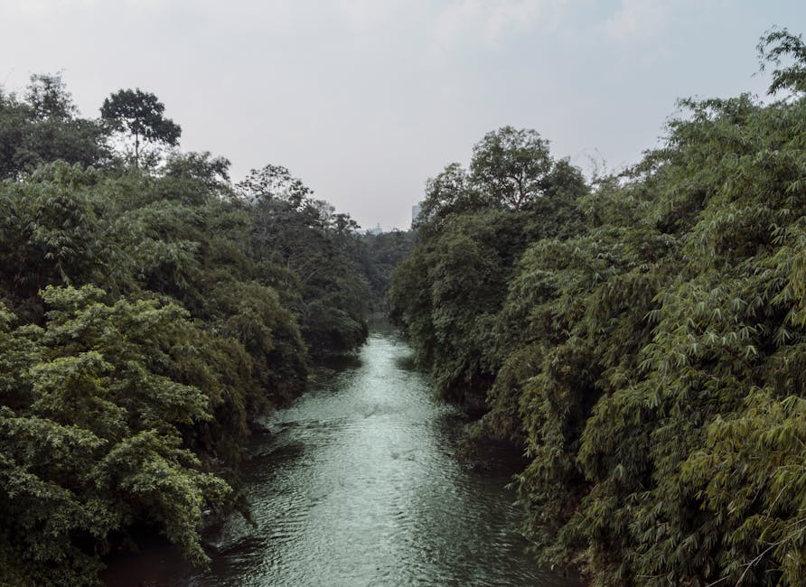 Scenic view of Dandeli, Karnataka