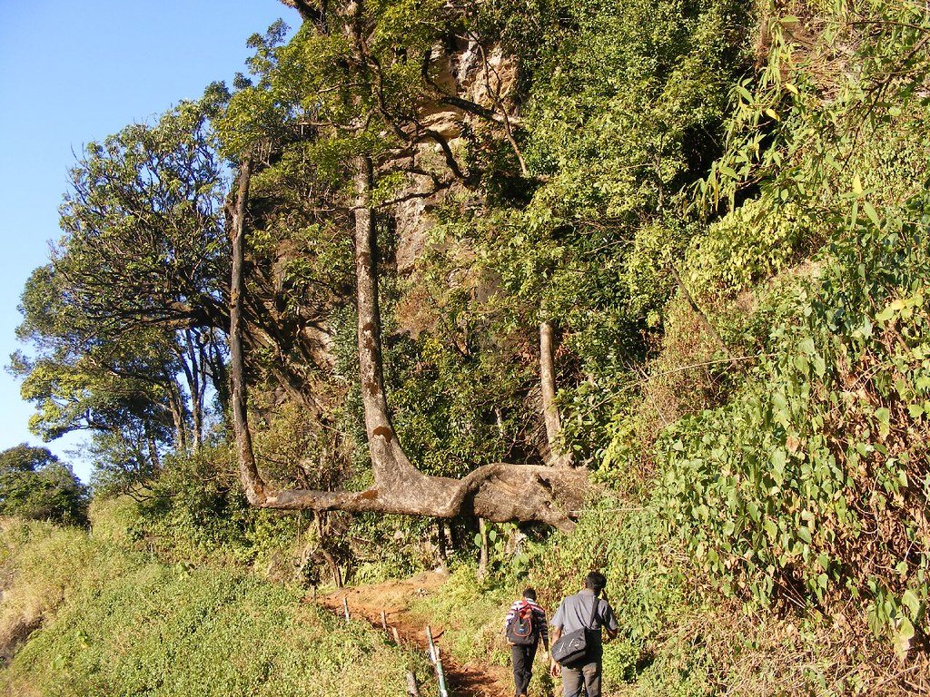 Scenic view of Kemmangundi, Karnataka