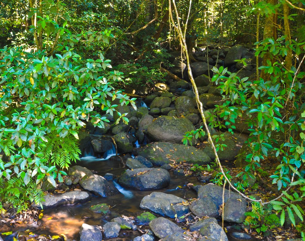 Scenic view of Kukke Subramanya, Karnataka