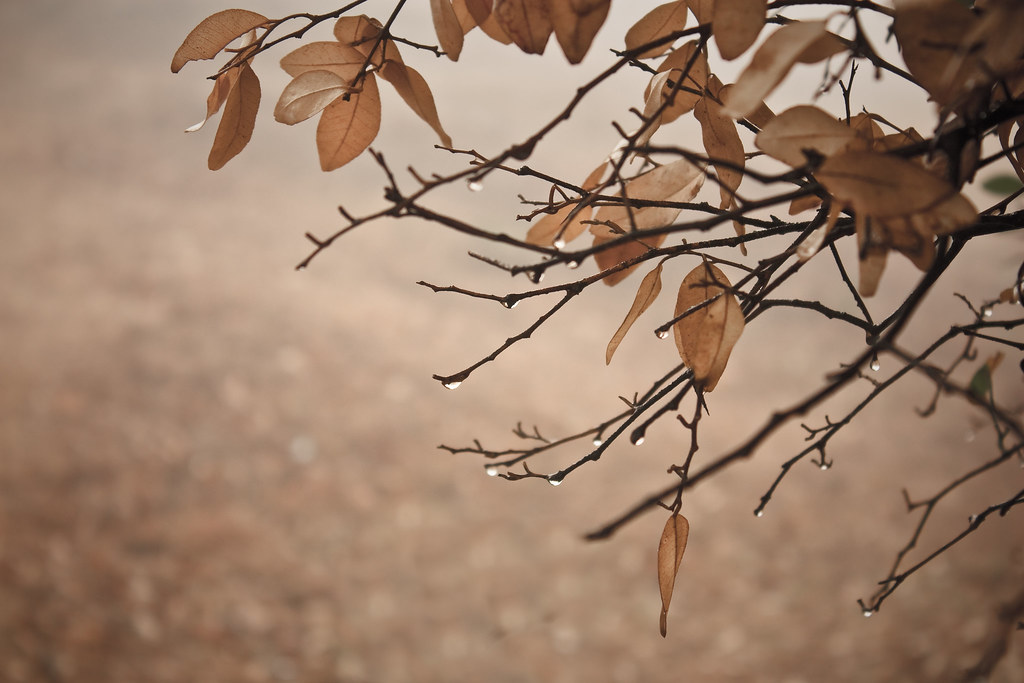 Sunrise Point in Nandi Hills, Karnataka