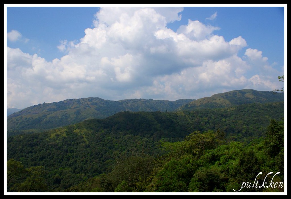 Green Route Railway Trek in Sakleshpur, Karnataka