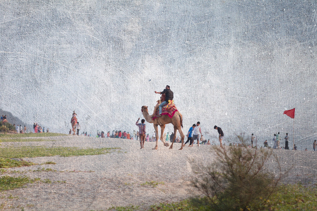 Scenic view of Bekal Fort, Kerala