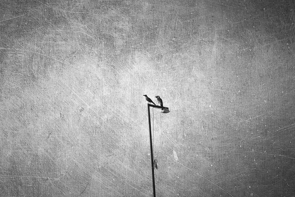 Pallikere Beach — Mumbai to Bekal Fort trip