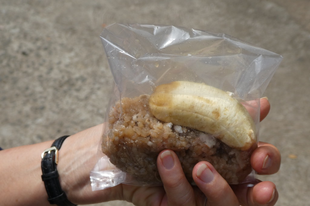 Punnathur Kotta Elephant Sanctuary in Guruvayur Temple