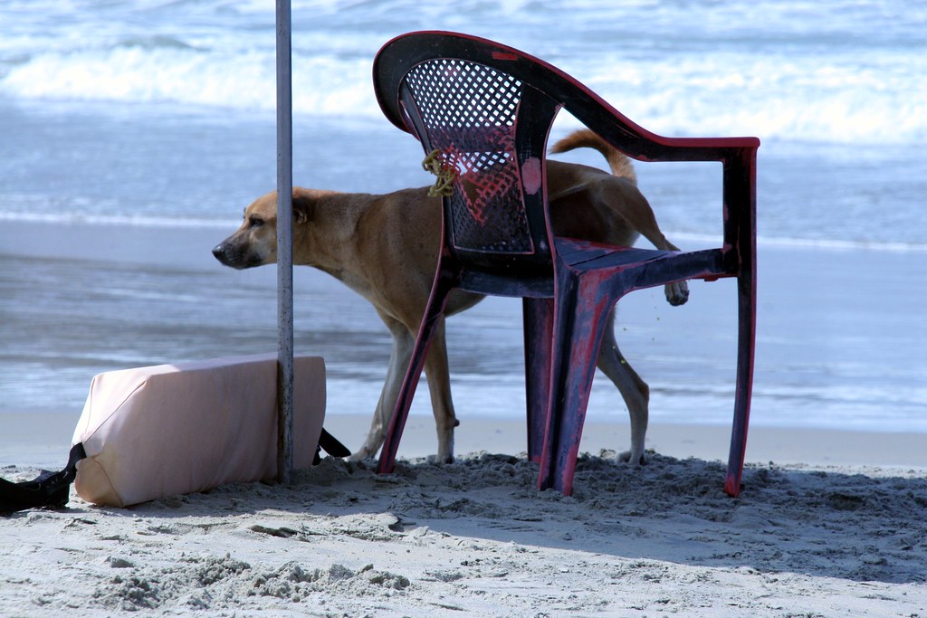 Scenic view of Kovalam Beach, Kerala