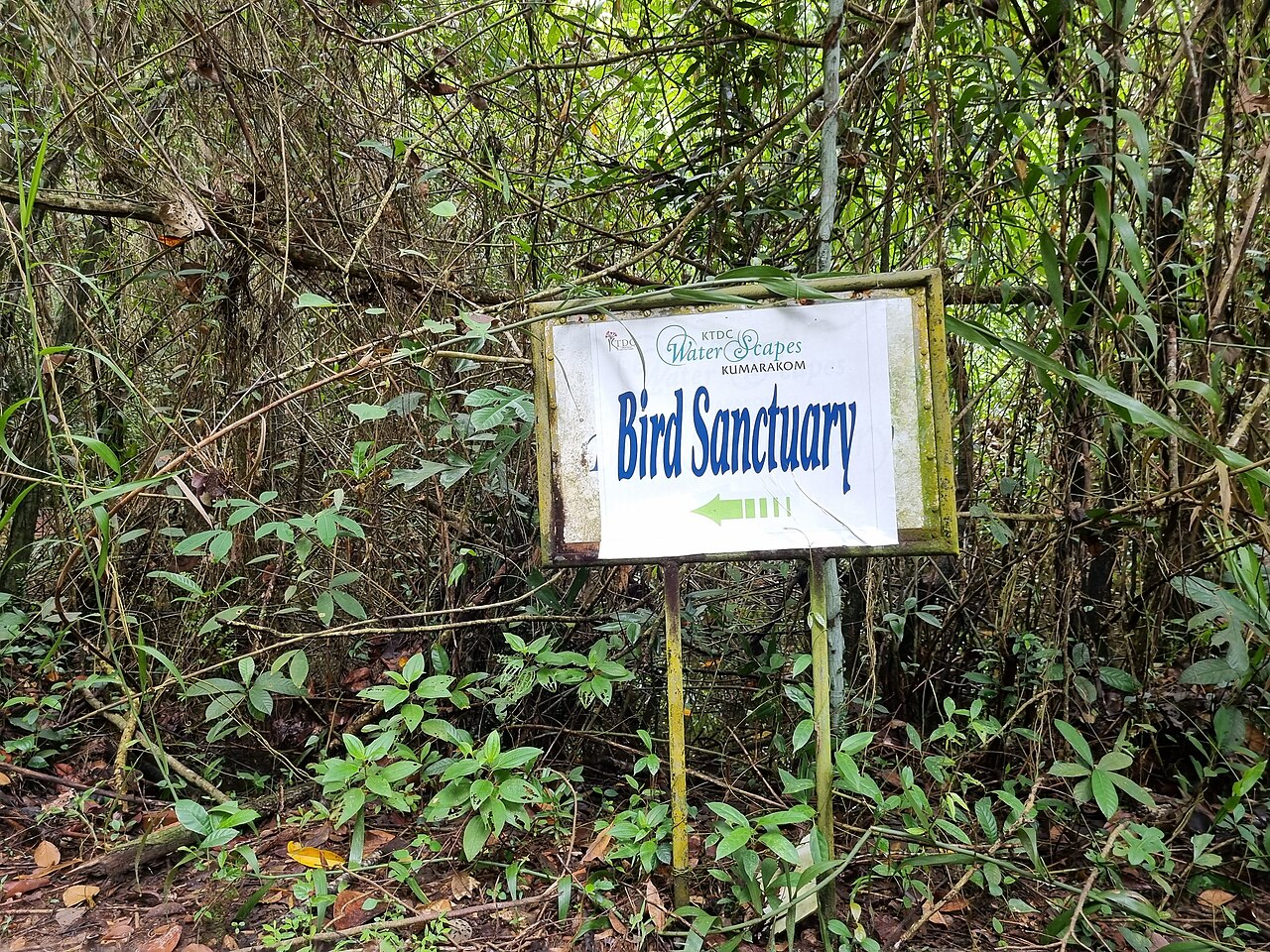 Kumarakom — popular tourist destination in Kerala