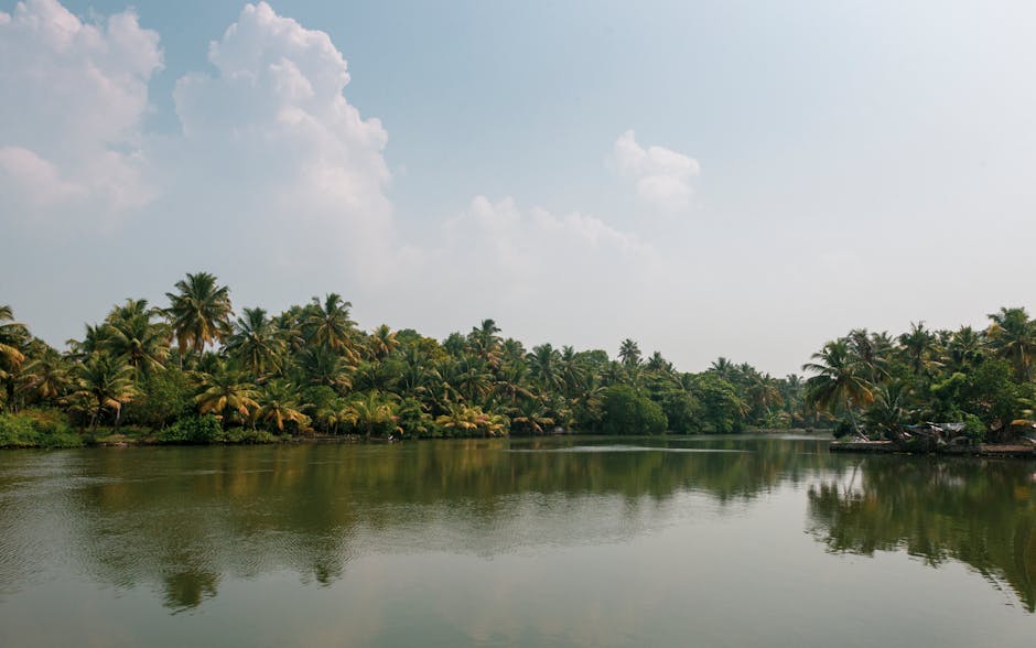 Vembanad Lake in Kumarakom