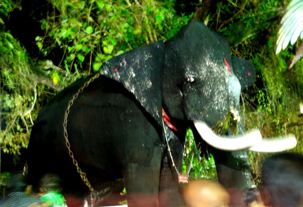 Kuttanad — popular tourist destination in Kerala