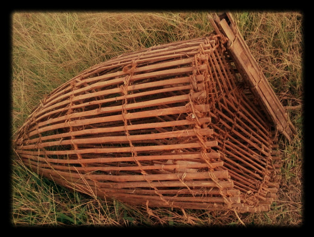 Scenic view of Kuttanad, Kerala