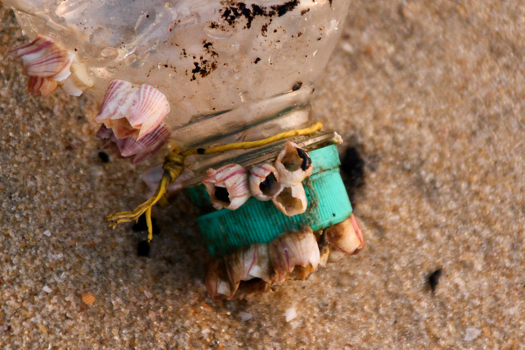 St. Andrew's Basilica — Mumbai to Marari Beach trip