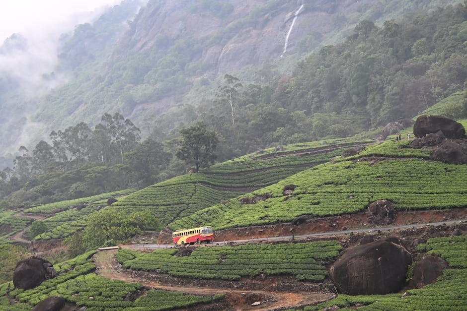 Scenic view of Munnar, Kerala