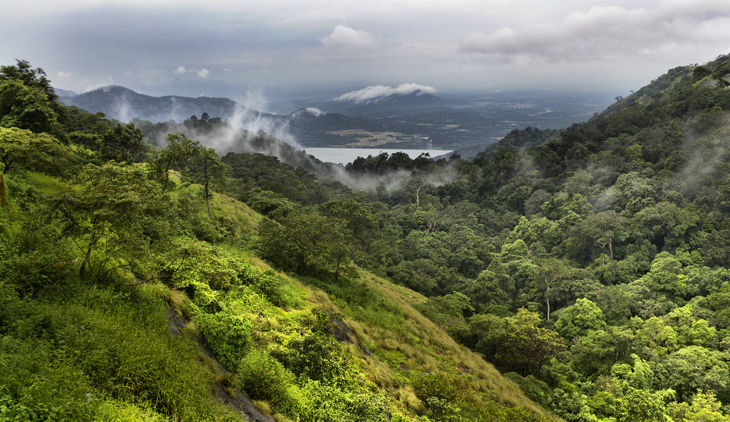 Scenic view of Nelliyampathy, Kerala