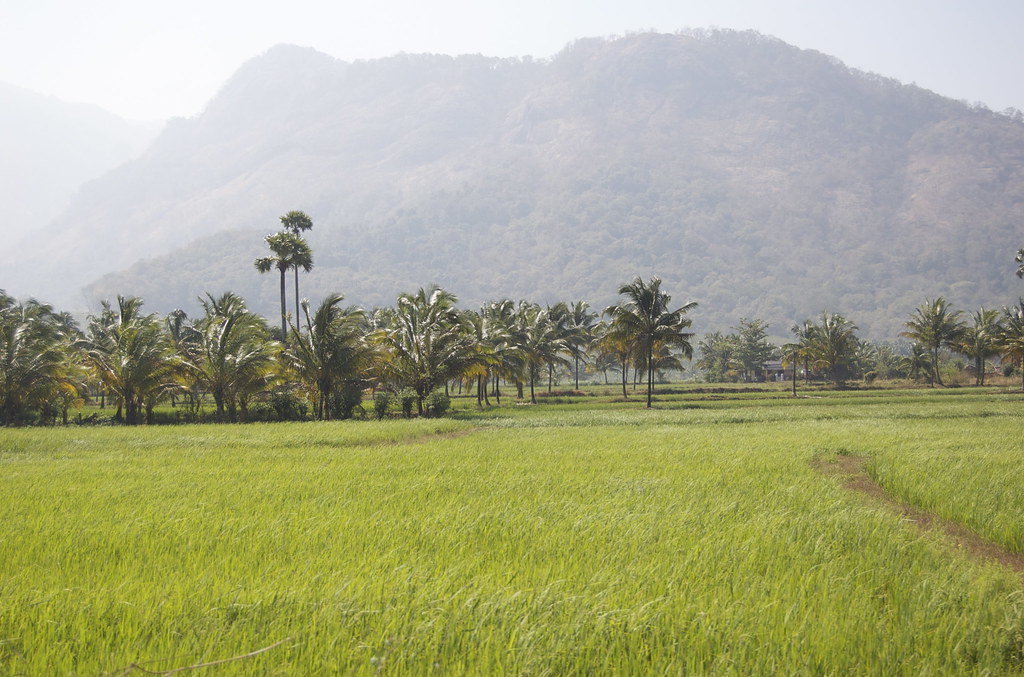 Seetharkundu Viewpoint in Nelliyampathy, Kerala