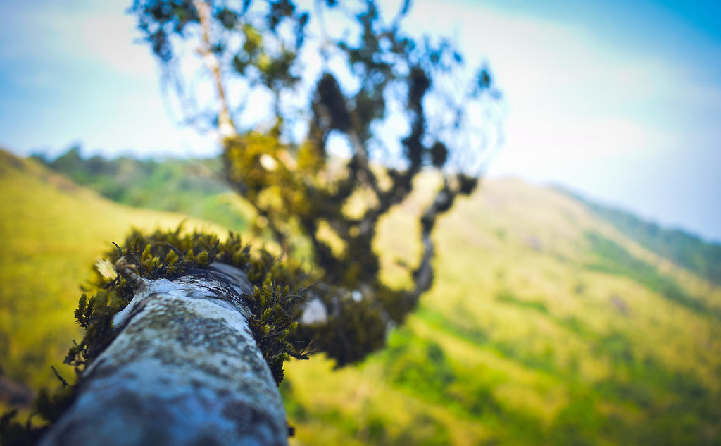 Ponmudi — popular tourist destination in Kerala