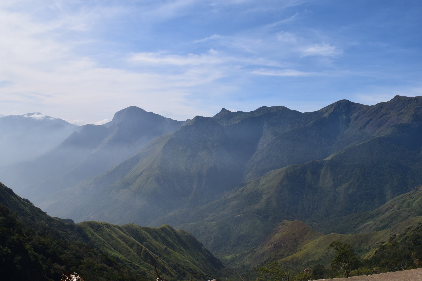 Silent Valley National Park in Silent Valley National Park, Kerala